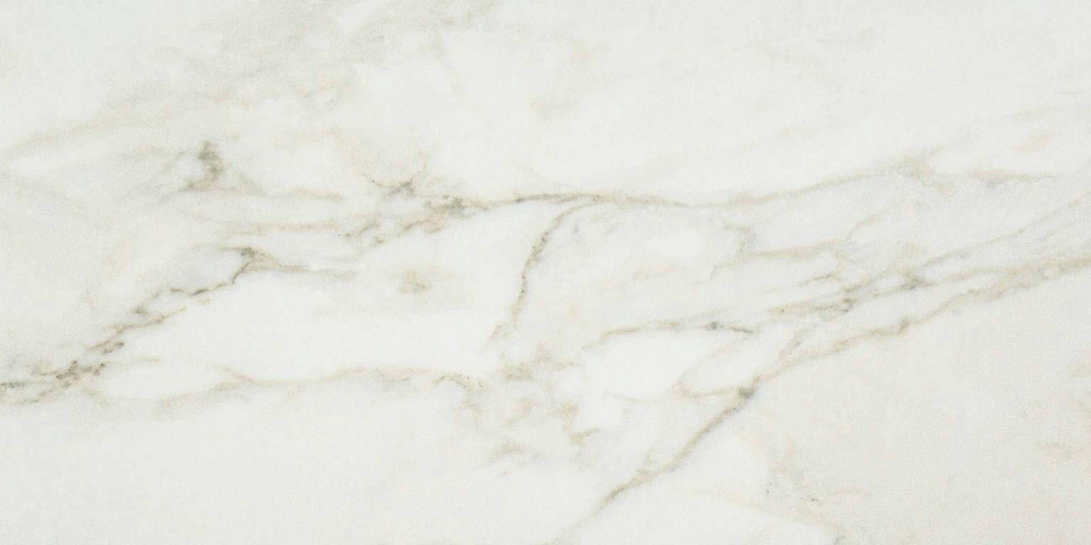 Amalfi Calacatta Honed 12X24 | Gemini Tile and Marble