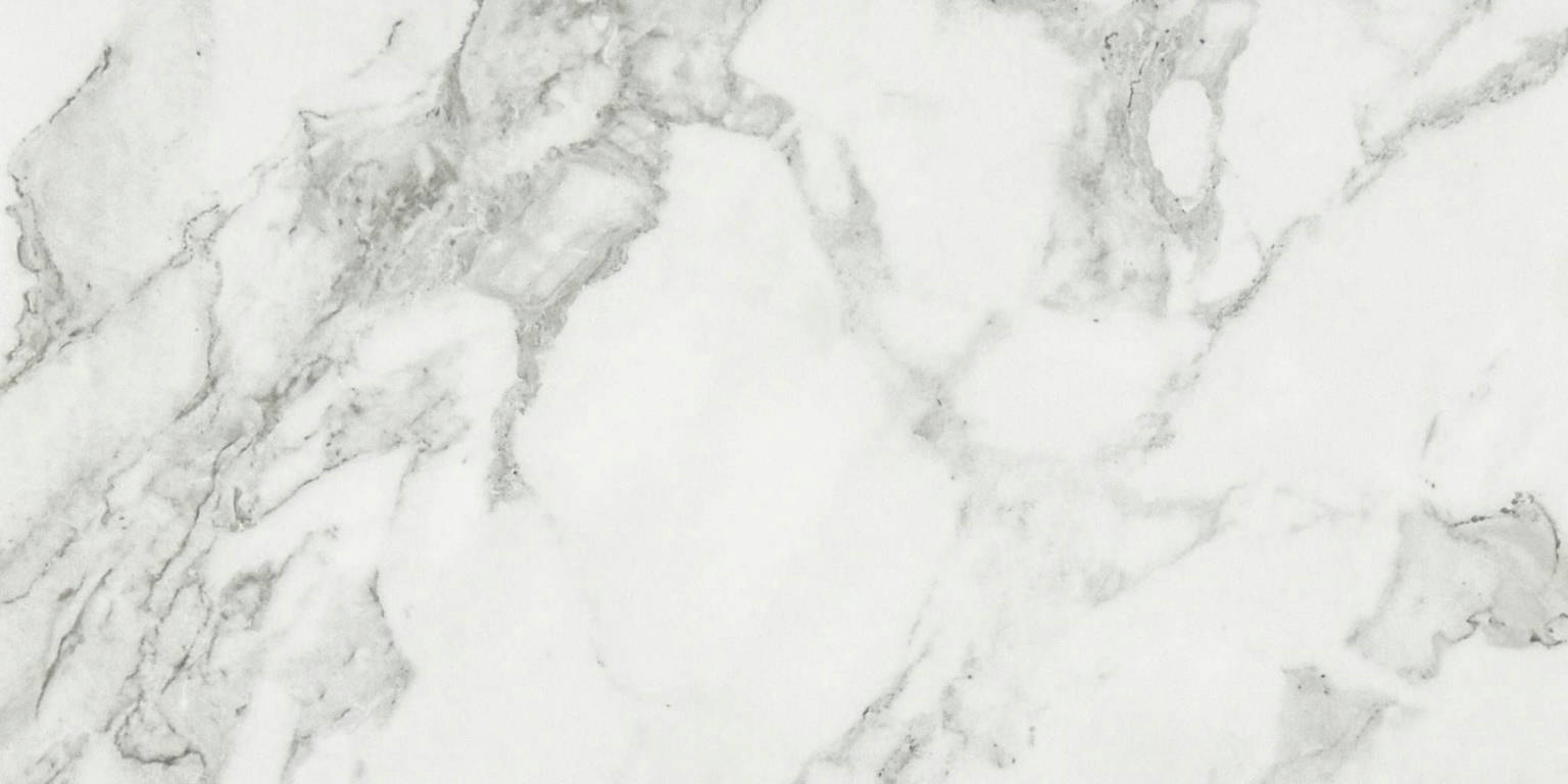 Arabescato Verona Honed 12X24 | Gemini Tile and Marble