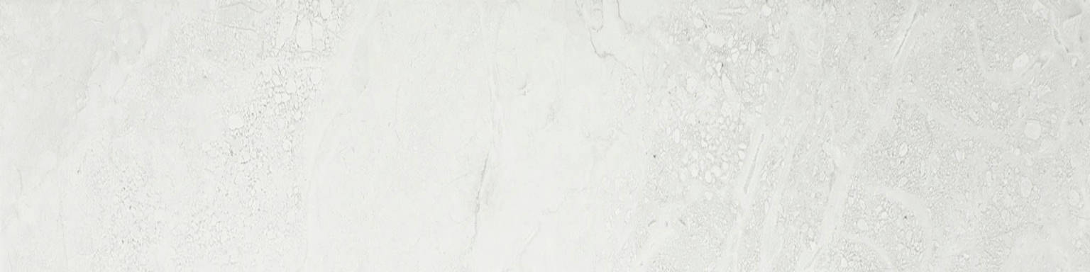 Bianco 3X12 Bullnose | Gemini Tile and Marble