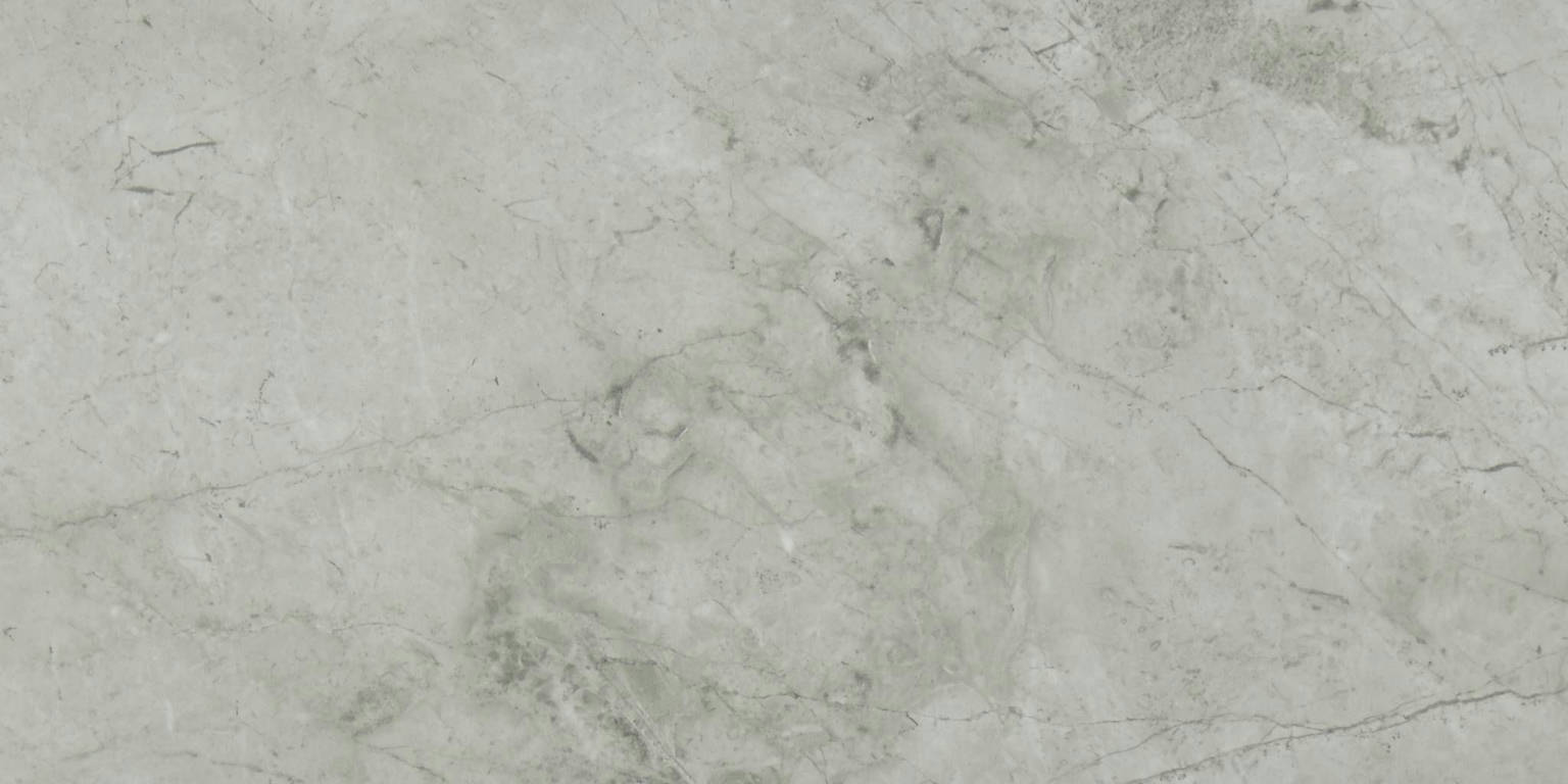 Roma Argento Honed 12X24 | Gemini Tile and Marble