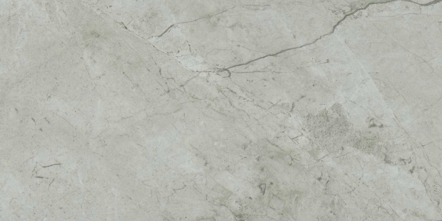 Roma Argento Honed 24X48 | Gemini Tile and Marble