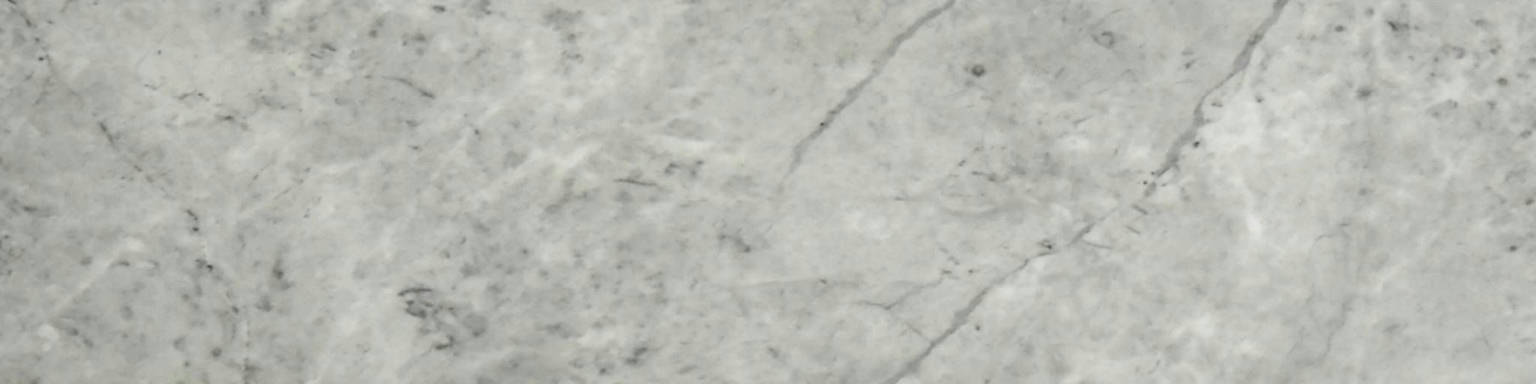 Roma Argento Honed 3X12 Bullnose | Gemini Tile and Marble