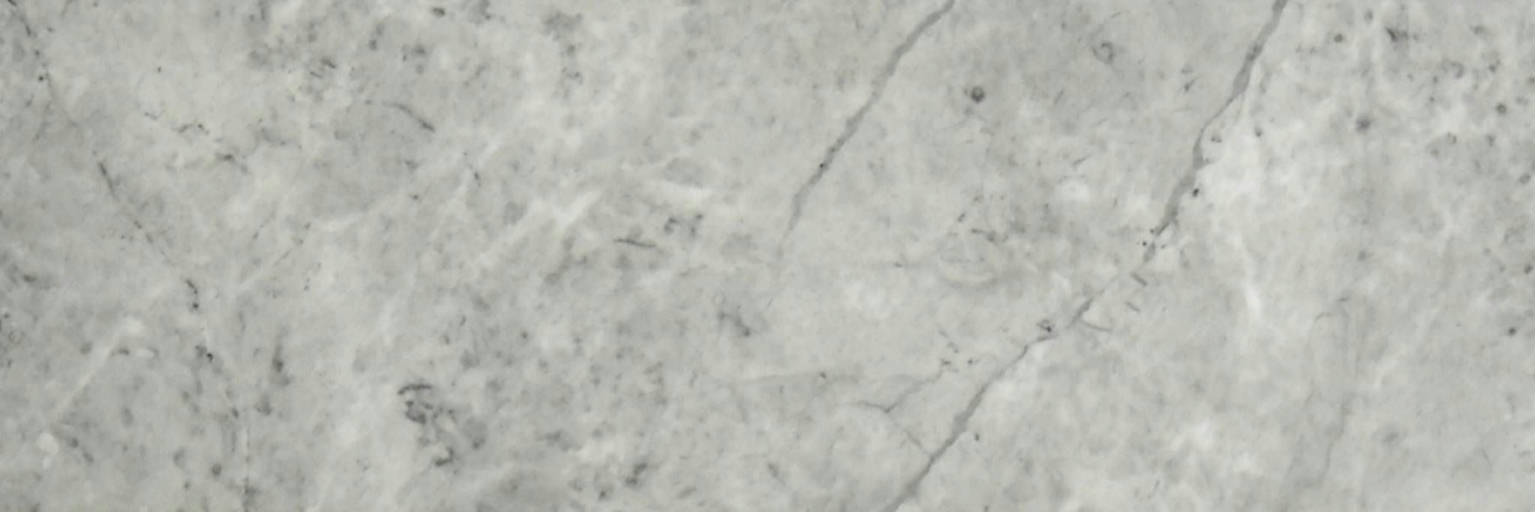 Roma Argento Honed 4X12 | Gemini Tile and Marble