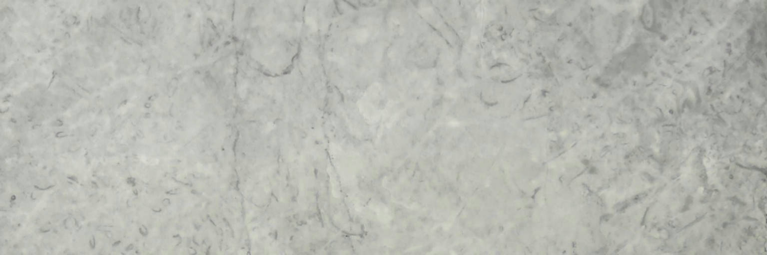 Roma Argento Polished 4X12 | Gemini Tile and Marble