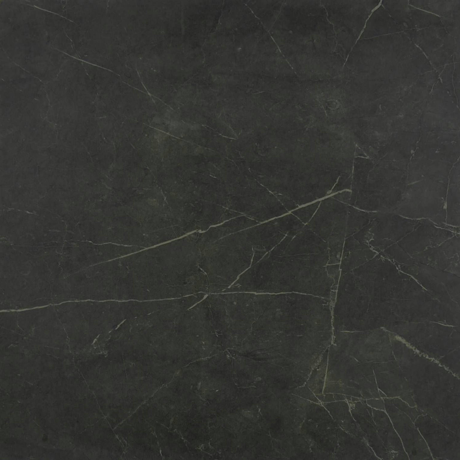 Tivoli Nero Polished 24X24 | Gemini Tile and Marble