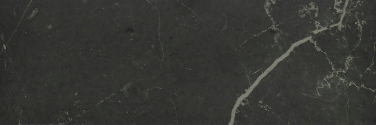 Tivoli Nero Polished 4X12 | Gemini Tile and Marble