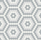 Afternoon Blend Matte Hexagon Pattern Mosaic | Gemini Tile and Marble