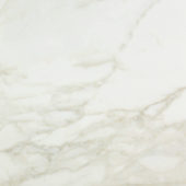 Amalfi Calacatta Polished 24X24 | Gemini Tile and Marble