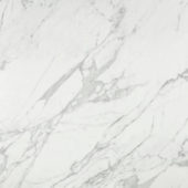 Milano Statuario Polished 24X24 | Gemini Tile and Marble