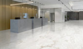 Rendezvous White Polished 24x48 | Gemini Tile and Marble