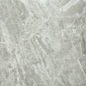 Matte Inspiration 24X24 | Gemini Tile and Marble