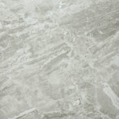 Matte Inspiration 24X24 | Gemini Tile and Marble