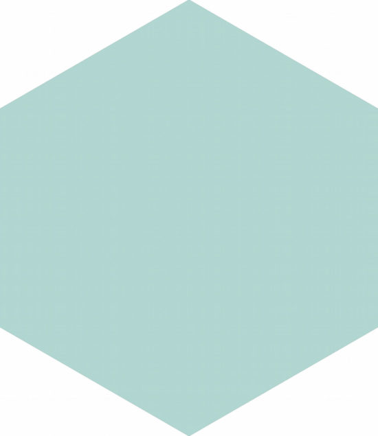 Ronda 5.5X6.3” Mint Hexagon | Gemini Tile and Marble