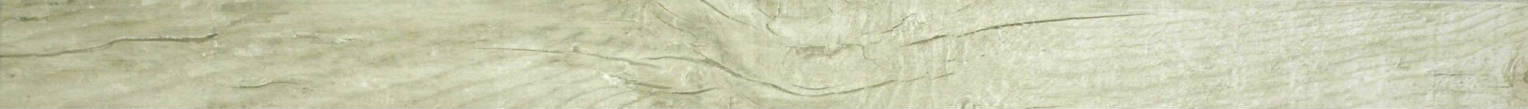 Whitebark Pine 3X33 Bullnose | Gemini Tile and Marble