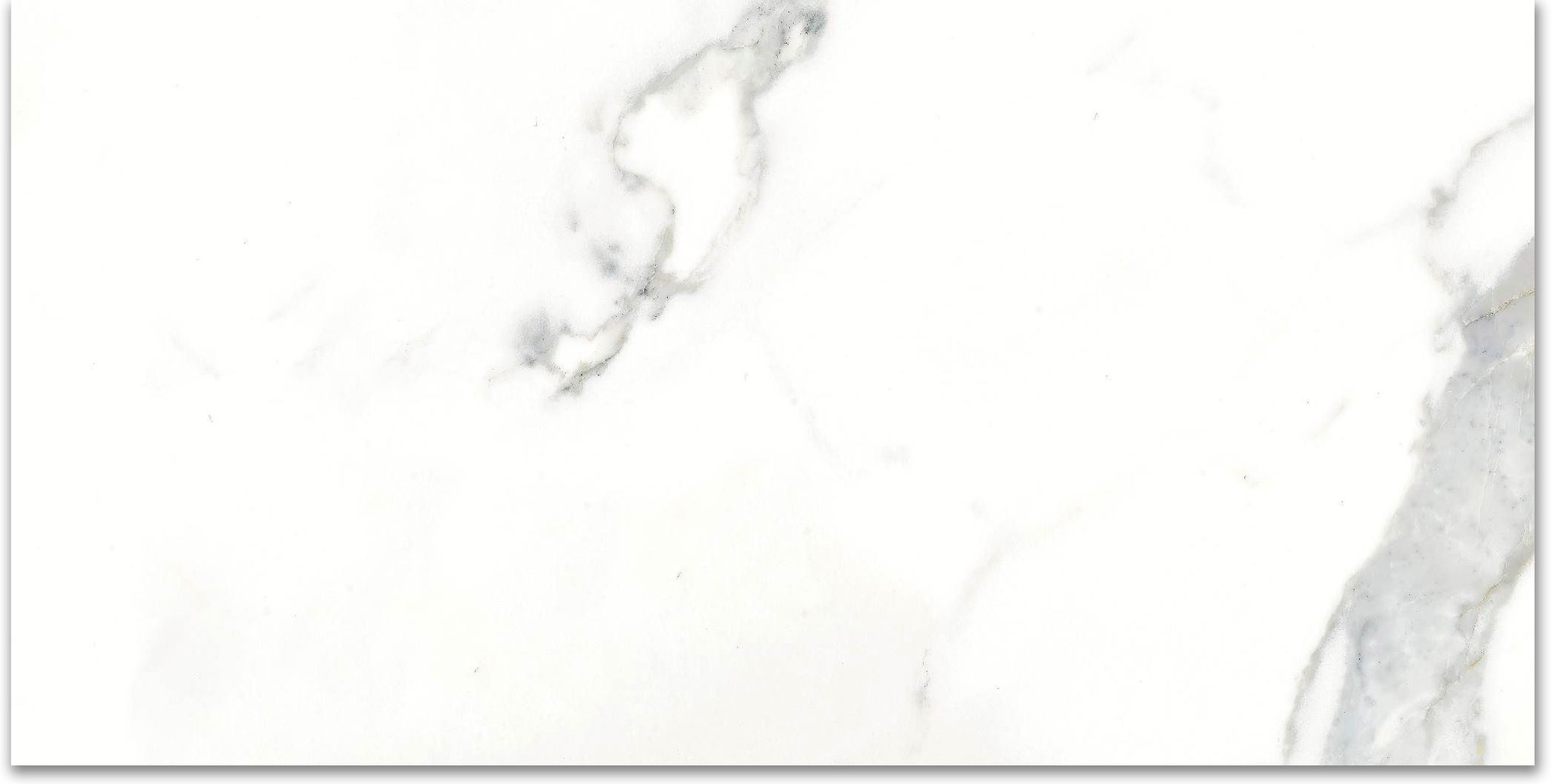 12X24F Calacatta | Gemini Tile and Marble