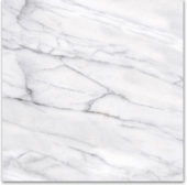 18X18F Carrara | Gemini Tile and Marble