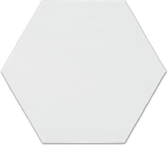 6" Bray Powder Glossy Hexagon | Gemini Tile and Marble