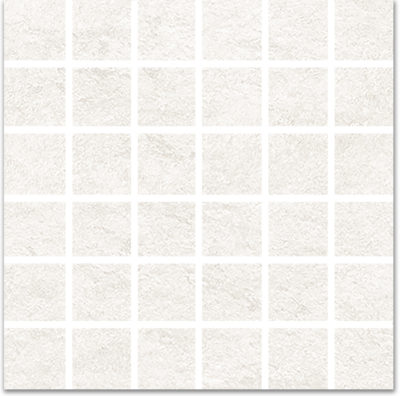 Denver White 2×2 Mosaic