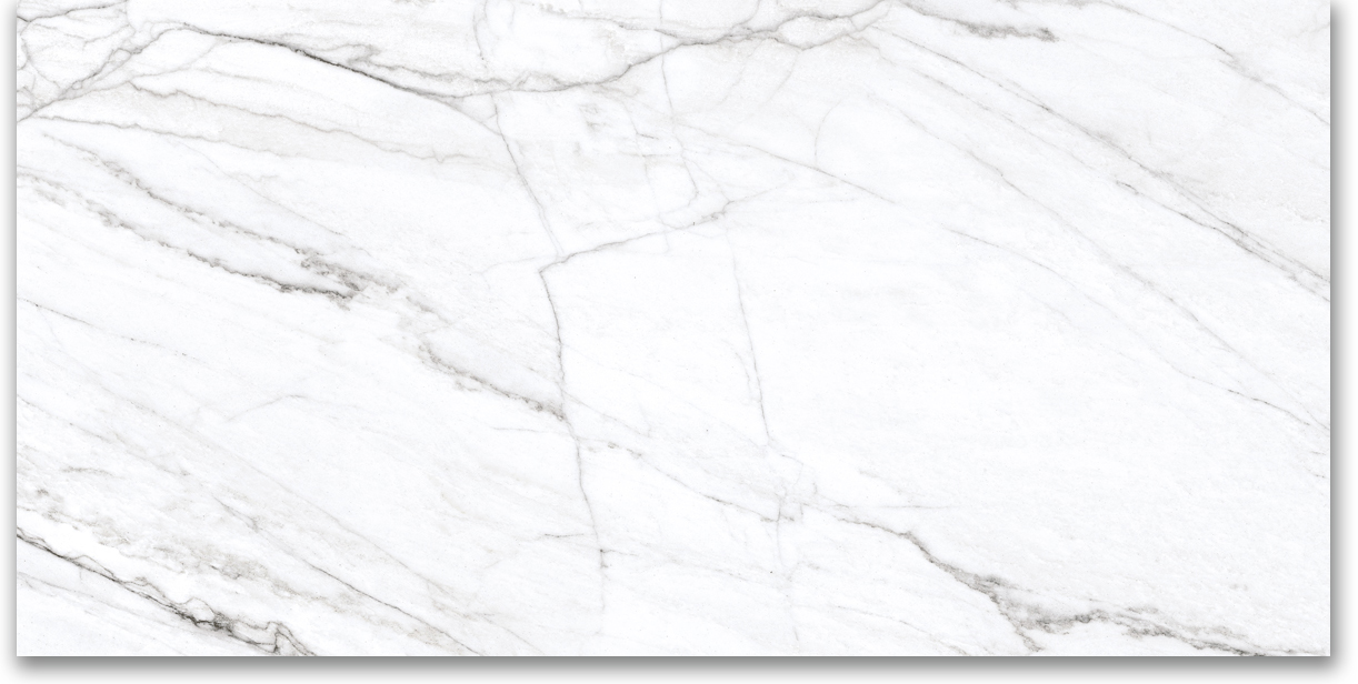 24X48 Polished Glamour White | Gemini Tile and Marble