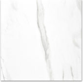 Polished Infatuation 24X24 | Gemini Tile and Marble