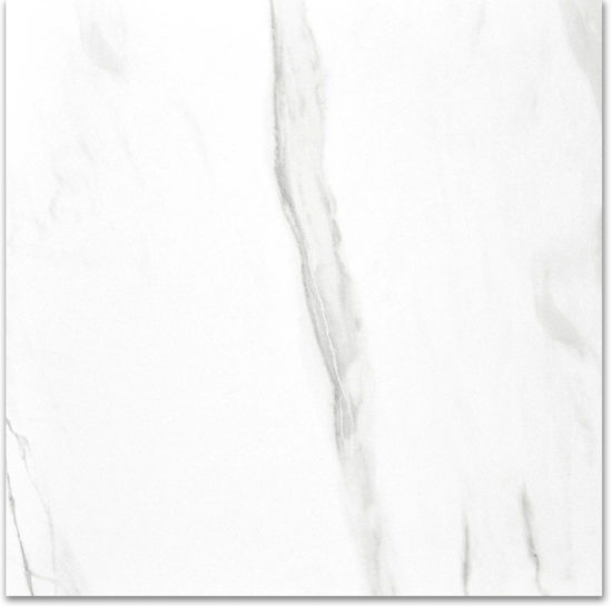 Polished Infatuation 24X24 | Gemini Tile and Marble