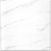 Polished Infatuation 24X24 | Gemini Tile and Marble