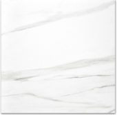 Polished Infatuation 24X24 | Gemini Tile and Marble