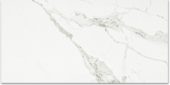 Polished Love 16X32 | Gemini Tile and Marble