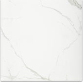 Polished Love 24X24 | Gemini Tile and Marble