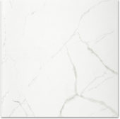 Polished Love 24X24 | Gemini Tile and Marble