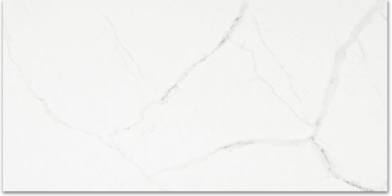 Polished Love 24X48 | Gemini Tile and Marble