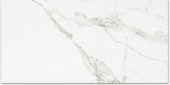 Polished Love 24X48 | Gemini Tile and Marble