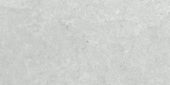 Denver 12X24F Platinum Matte | Gemini Tile and Marble