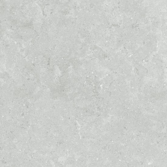Denver 20X20F Platinum Matte | Gemini Tile and Marble