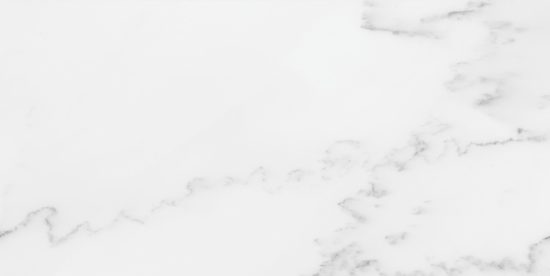 Florence 12X24F Bianco Matte | Gemini Tile and Marble
