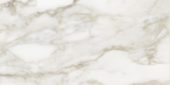 Florence 12X24F Calacatta Matte | Gemini Tile and Marble