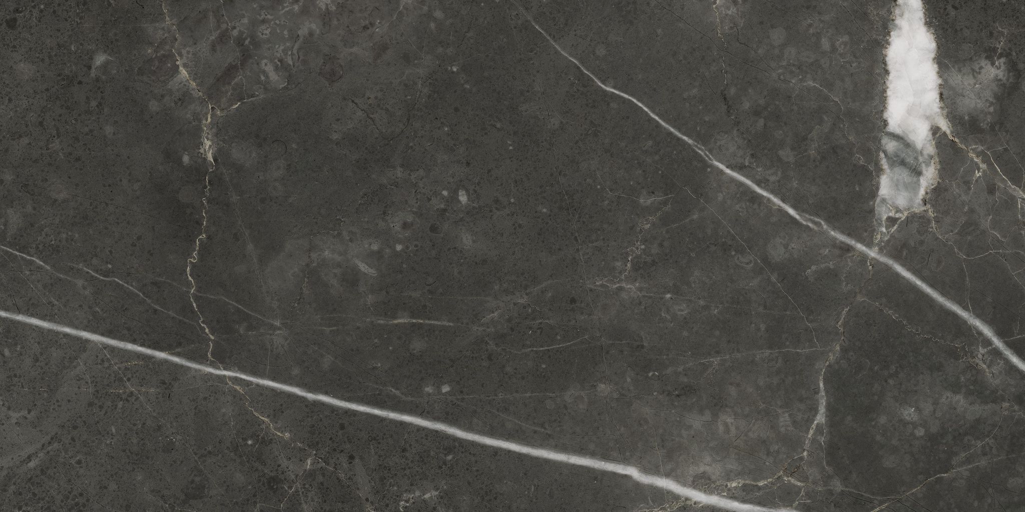 Florence 12X24F Carbon Texture | Gemini Tile and Marble