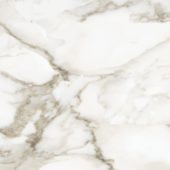 Florence 13X13F Calacatta Matte | Gemini Tile and Marble