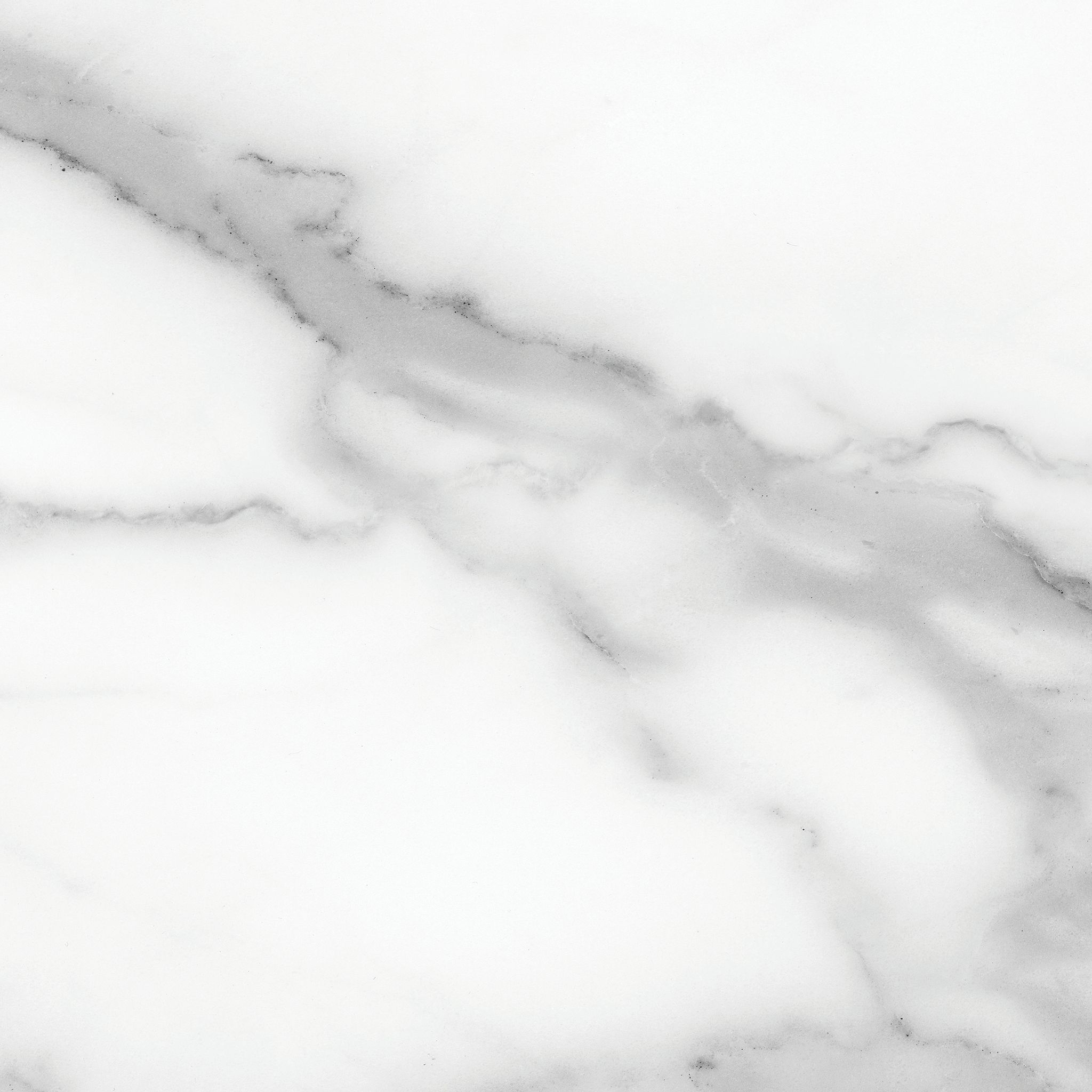 Florence 13X13F Statuario Matte | Gemini Tile and Marble