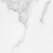 Florence 20X20F Bianco Matte | Gemini Tile and Marble