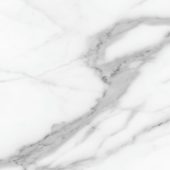 Florence 20X20F Statuario Matte | Gemini Tile and Marble