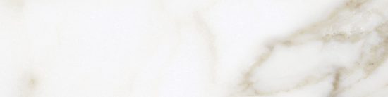 Florence 3x12 Calacatta Matte Bullnose | Gemini Tile and Marble