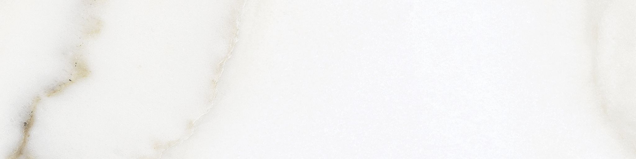 Florence 3x12 Calacatta Matte Bullnose | Gemini Tile and Marble