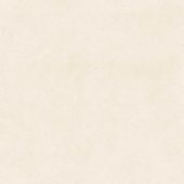 Serene Ivory 24x24 | Gemini Tile and Marble