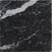 Obsession 10x10 Nero | Gemini Tile and Marble