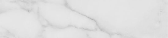 Obsession 2.5x10 Carrara | Gemini Tile and Marble