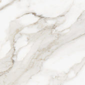 Royal Stoneworks 24X24 Calacatta Royale Polished | Gemini Tile and Marble