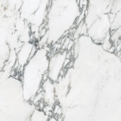 Royal Stoneworks 24X24 Italian Arabescato Honed | Gemini Tile and Marble