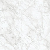 Royal Stoneworks 24X24 Old World Bianco Honed | Gemini Tile and Marble