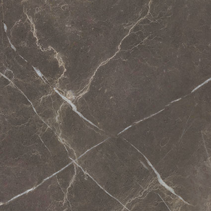 Royal Stoneworks 24X24 Regal Brown Marble Honed